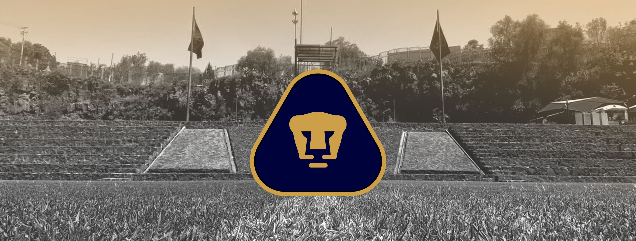 Pumas